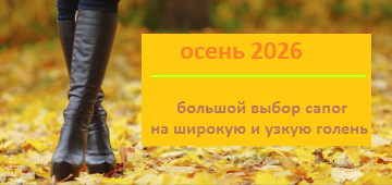 Слайд 